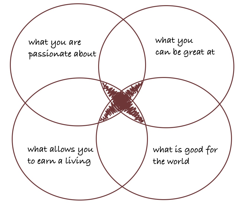 social entrepreneur framework