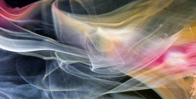 Diaphanous image used as the visual metaphor for temporary, translucent organisational scaffolding